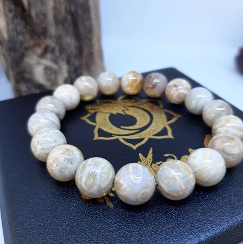 Vòng San Hô Hoá Thạch Tự Nhiên Vip 10mm