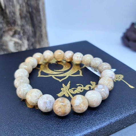Vòng San Hô Hoá Thạch Tự Nhiên 8mm