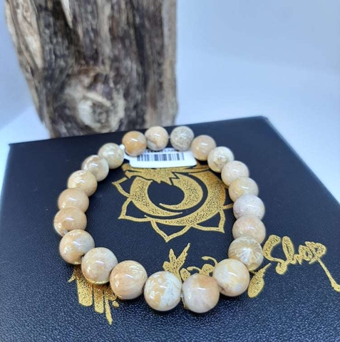 Vòng San Hô Hoá Thạch Tự Nhiên 8mm
