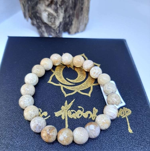 Vòng San Hô Hoá Thạch Tự Nhiên 8mm