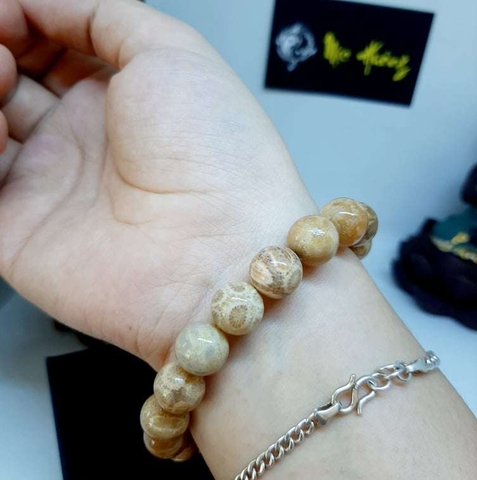 Vòng San Hô Hoá Thạch Tự Nhiên 8mm