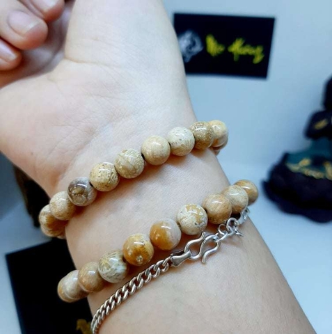 Vòng San Hô Hoá Thạch Tự Nhiên 8mm