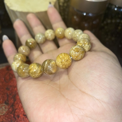 Vòng San Hô Hoá Thạch Tự Nhiên Vân Hoa VIP 12mm