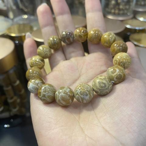 Vòng San Hô Hoá Thạch Tự Nhiên Vân Hoa VIP 12mm