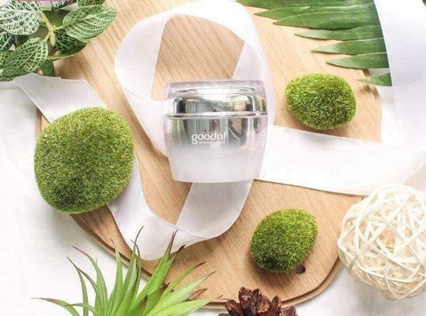 Kem ốc sên Goodal Premium Snail Tone Up Cream. Kem ốc sên Goodal Premium Snail Tone Up Cream.