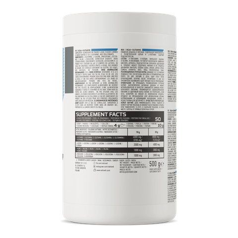 Ostrovit BCAA + Glutamine (500g)