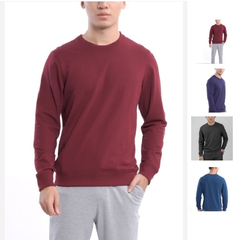 Áo thu đông (áo nỉ) Nam Sweatshirt  regular fit Aristino ASW008W7