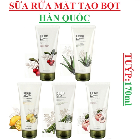 Sữa rửa mặt trộn tạo bọt The Face shop Herb day 365 Master blending  foarming cleanser