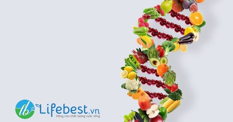 Giải pháp ăn uống healthy dành cho người bận rộn