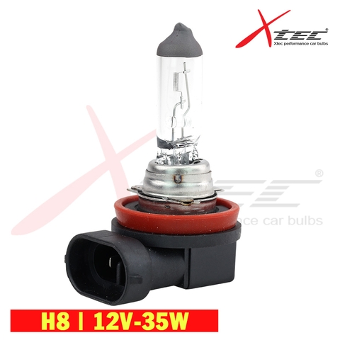 Bóng Đèn Ô Tô Xtec H8 12V 35W - Nhập Khẩu Chính Hãng