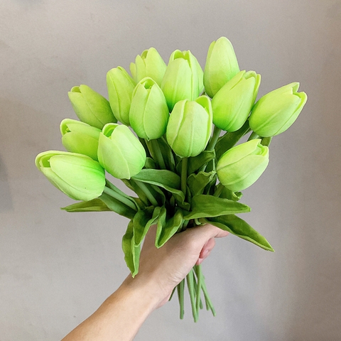 Cành hoa tulip xanh