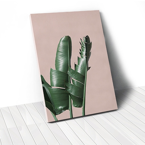 Tranh canvas Banana Leaf, Pink