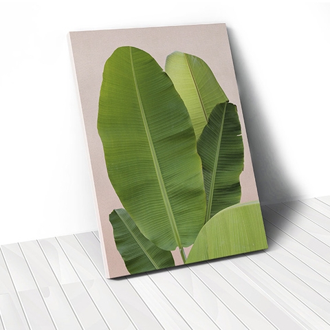 Tranh canvas Banana Leaves, Pink