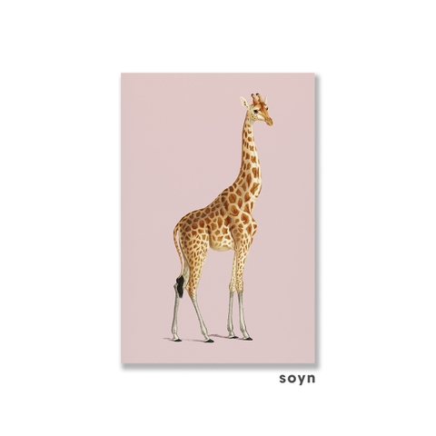 Tranh canvas Hươu cao cổ, Giraffe, Animal, Soyn SN0115