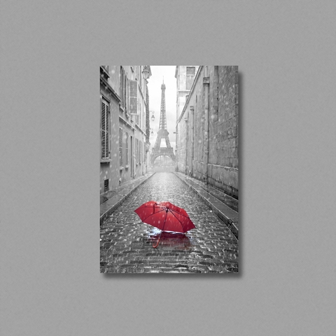 Tranh Umbrella in Paris