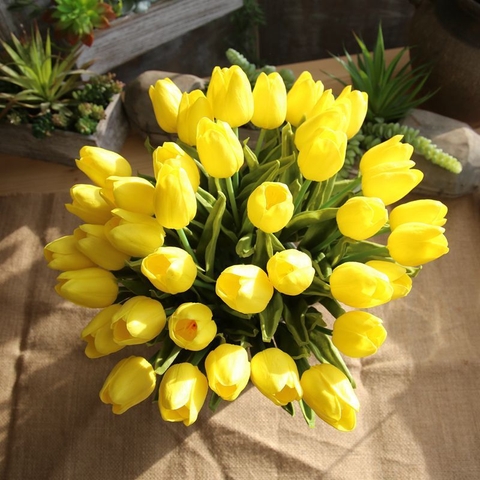 Cành hoa tulip vàng
