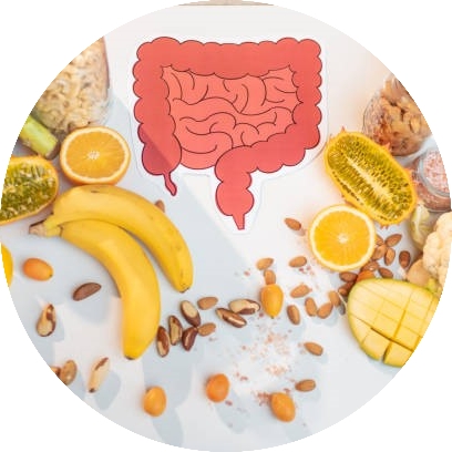 Thực phẩm như thuốc: Chế độ ăn uống ảnh hưởng như thế nào đến sức khỏe hệ vi sinh vật đường ruột