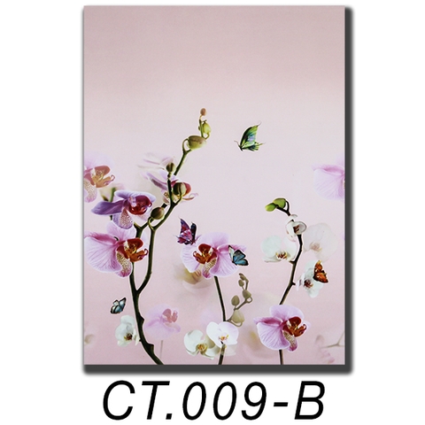 Rèm cuốn tranh CT.009-B