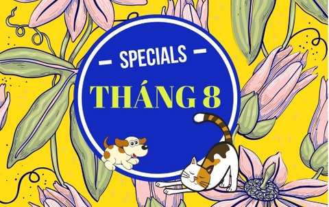 THÁNG 8 - 