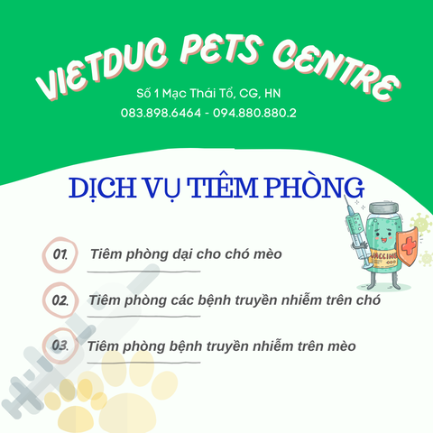 Dịch vụ tiêm chủng chó mèo