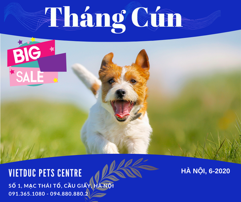 Tháng 6 - Tháng Cún với khuyến mại Siêu yêu