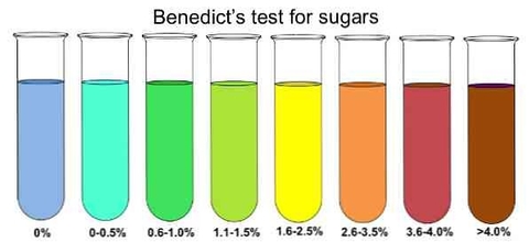 Dung dịch benedict là gì và Ứng dụng của dung dịch benedict?