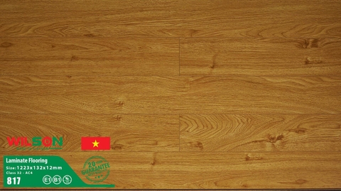 Sàn gỗ Wilson WS 817