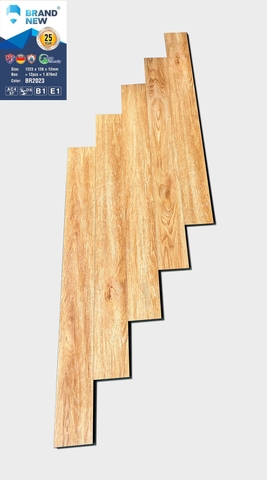 Sàn gỗ Brand New BR2023 12mm