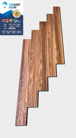 Sàn gỗ Brand New BR2025 12mm