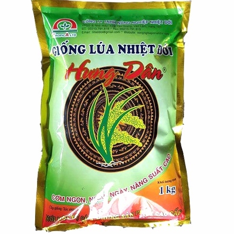 Hạt giống lúa: Hưng Dân