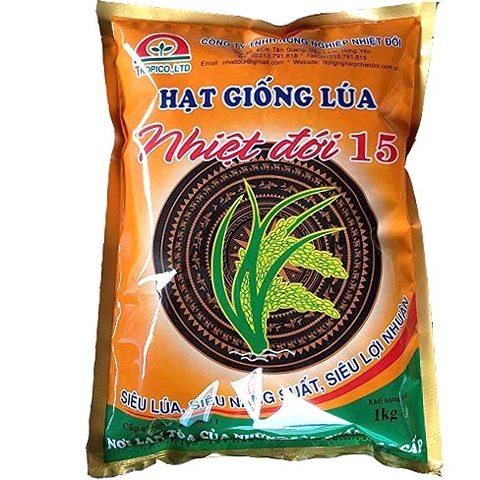 Hạt giống lúa: Nhiệt đới 15