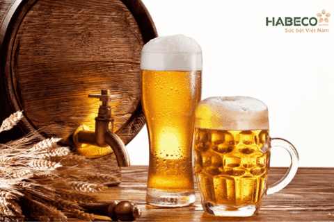 Top 7 hãng bia tươi nổi tiếng và được ưa chuộng nhất năm 2023