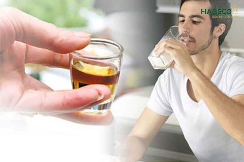 Uống sữa tươi trước khi uống bia có đỡ say như nhiều người nghĩ?