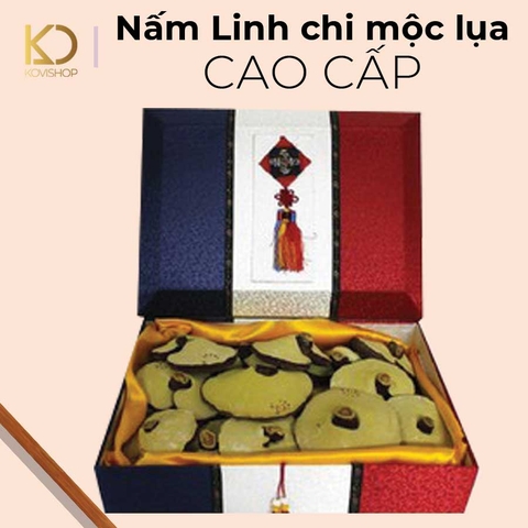 NẤM LINH CHI MỘC LỤA CAO CẤP