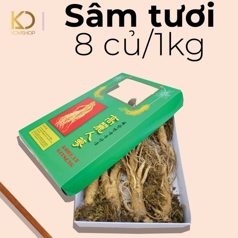 SÂM TƯƠI 8 CỦ/ 1KG