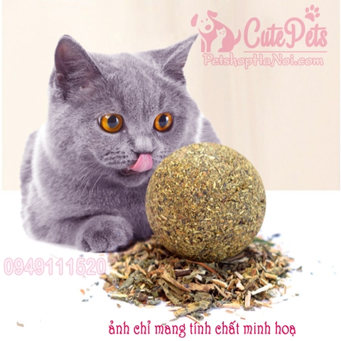 Bóng cỏ mèo Catnip cho mèo Hahale CatTreat - Cutepets