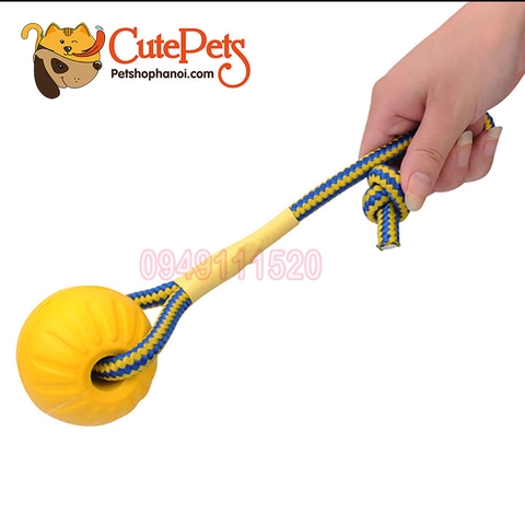 Bóng tập gặm cao su gắn dây dành cho chó - Cutepets