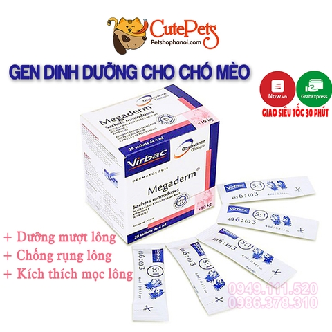 Gel dinh dưỡng cho chó mèo Virbac Megaderm Gel dưỡng mượt lông, chống rụng lông cho thú cưng - CutePets