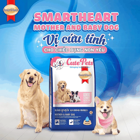 Hạt chó bầu Smart Heart Mother & Baby Dog 1.3kg
