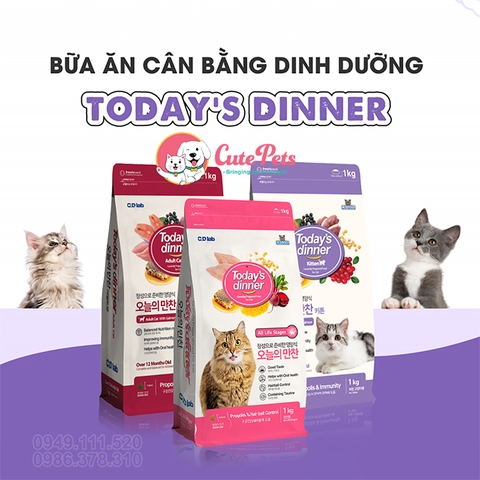 Hạt cho Mèo Today Dinner 1kg Cân bằng dinh dưỡng - Cutepets