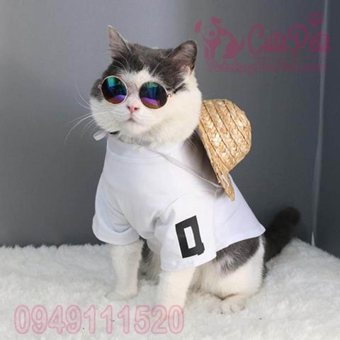 Kính Quàng thượng dành cho mèo - CutePets