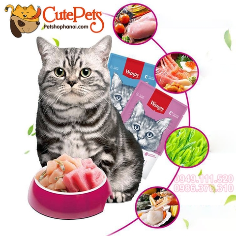 Pate Wanpy 80g dành cho mèo - CutePets