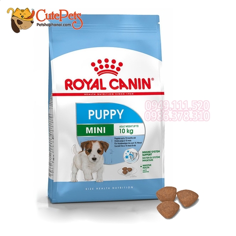 Royal Canin Mini Puppy 800g Thức ăn cho chó con - CutePets