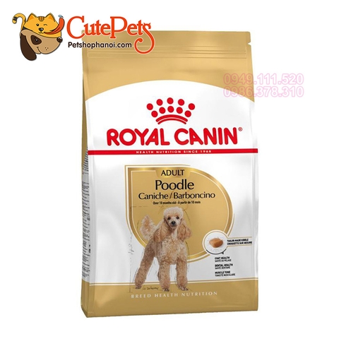 Royal Canin Poodle Adult 500g Hạt cho chó Poodle