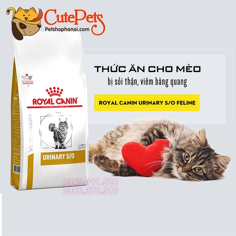 Thức ăn trị sỏi thận cho mèo Royal Canin Urinary