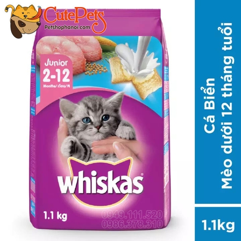 Whiskas Junior 1.1kg Vị Cá Biển Và Sữa - Hạt cho Mèo con
