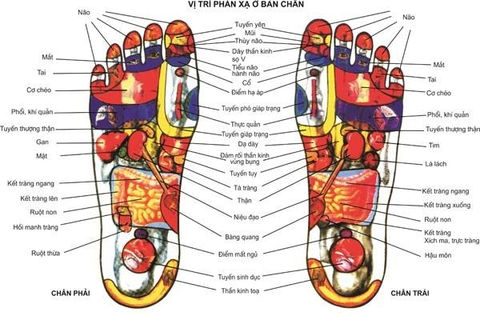 5 Cách Ngâm Chân Hiệu Quả Như Tại Spa