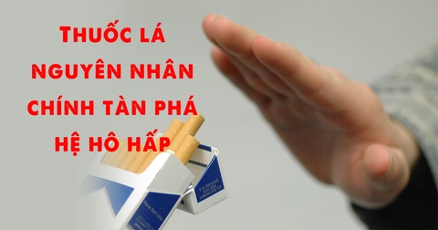Thuốc lá nguyên nhân chính tàn phá hệ hô hấp