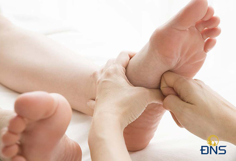 Lục phủ ngũ tạng trong Đông Y