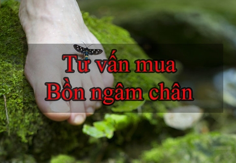 Tư vấn bồn ngâm chân massage loại nào tốt